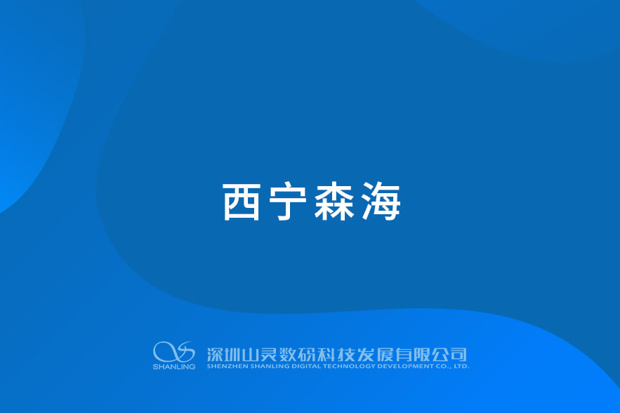 西宁森海